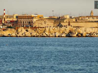 Ma le sorprese non finiscono qui. Altri gabbiani hanno infatti trovato posto su una particolare �isola� che si erge proprio al centro dell�ansa